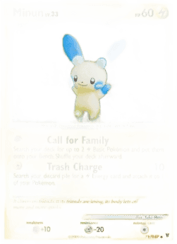 Minun Lv.33
