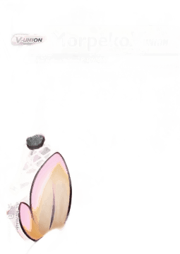 Morpeko V-UNION