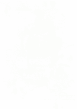 Swadloon