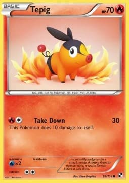 Tepig