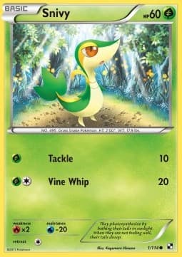 Snivy