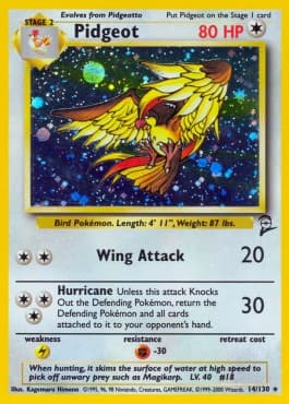 Pidgeot