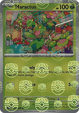 Maractus