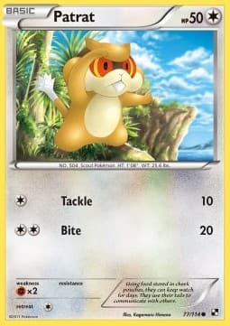 Patrat (Tackle)
