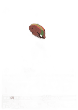 Accelgor