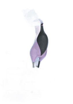 Galarian Articuno V
