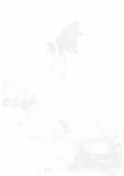 Lumineon V