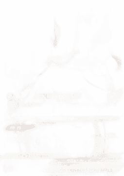 Hisuian Samurott VSTAR