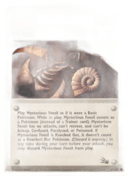 Mysterious Fossil