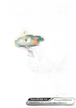 Cyclizar ex