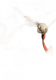 Zacian V