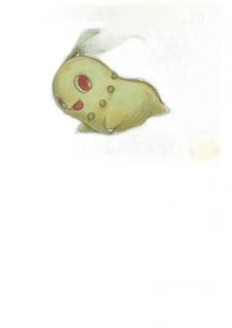Chikorita