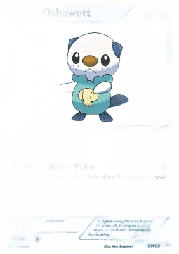 Oshawott