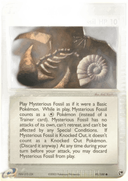 Mysterious Fossil