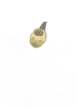 Burmy Sandy Cloak Lv.12
