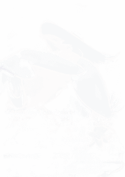 Honchkrow V
