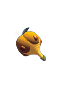 Balloon Berry