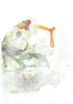 Caterpie