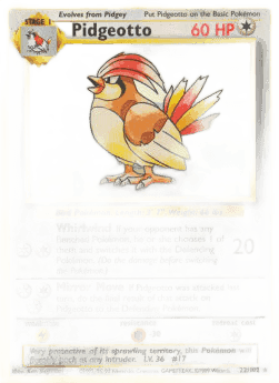 Pidgeotto
