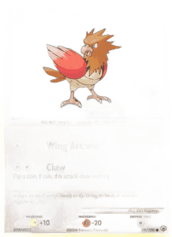 Spearow Lv.10