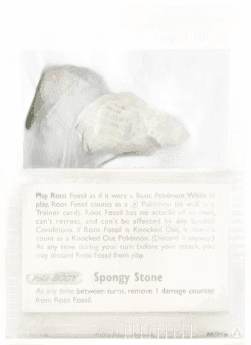 Root Fossil