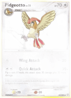 Pidgeotto Lv.21