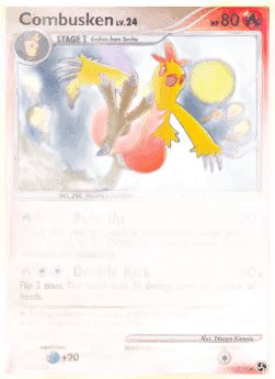 Combusken Lv.24
