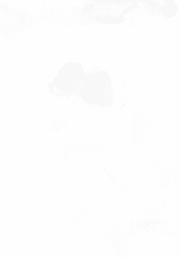 Lairon