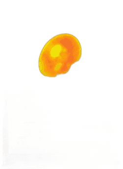 Old Amber