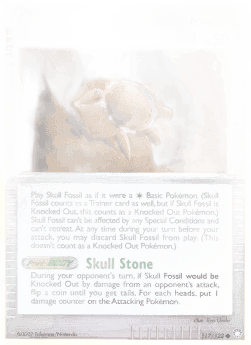 Skull Fossil