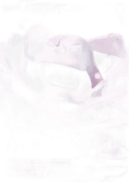 Granbull V