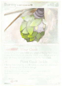Burmy Plant Cloak Lv.10