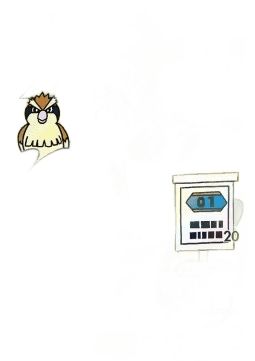 Pidgey